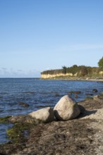 Boulders on the banks of the Saal, cliffs, Klein Zicker, Mönchgut, Rügen island, Baltic Sea,