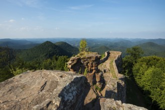 Wegelnburg ruins, near Nothweiler, Palatinate Forest, Rhineland-Palatinate, Germany