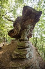 Sandstone rocks, near Hinterweidenthal, Dahner Felsenland, Palatinate Forest, Rhineland-Palatinate,
