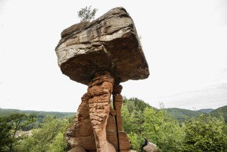 Sandstone rocks, Teufelstisch, near Hinterweidenthal, Dahner Felsenland, Palatinate Forest,