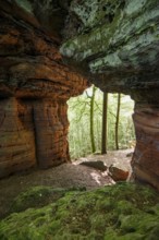 Sandstone Cliffs, Old Castle Rock, near Eppenbrunn, Palatinate Forest, Rhineland-Palatinate,