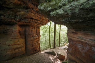 Sandstone Cliffs, Old Castle Rock, near Eppenbrunn, Palatinate Forest, Rhineland-Palatinate,