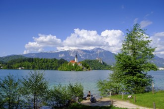 Blejski Otok island with St. Mary's Church, Bled, Lake Bled, Slovenia
