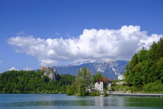 Bled Castle, above Bled, Lake Bled, Slovenia