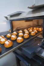 Fresh rolls are baked on a baking tray in a hot oven, bread rolls are baked, Haselstaller Hof,
