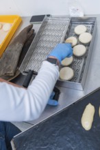Hands a person places dough circles on a tray with patterns to prepare, bake rolls, Haselstaller