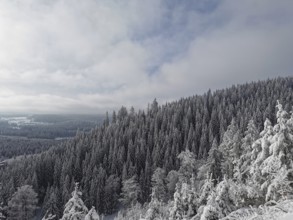 Snowy forest under cloudy sky in a winter landscape, Fichtelgebirge, Germany