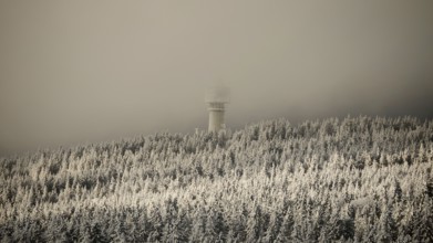 A snow-covered forest with a tower in thick fog, wintry and mystical, view from Nusshardt towards