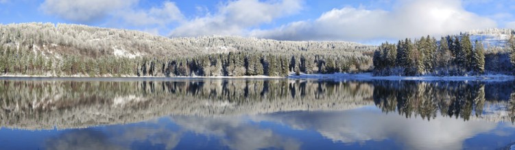 A calm lake with snow-covered trees and a clear reflection of the sky in winter, Scheibe-Alsbach