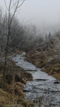 A foggy stream between bare trees and dried grass in a quiet autumn landscape, Frankenwald nature