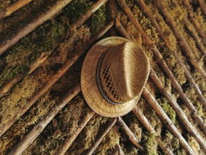 A straw hat hangs from a wooden wall covered with moss, which creates a rustic and natural