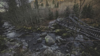 An old wooden bridge crosses a river in a dense, autumnal forest with a gloomy atmosphere,