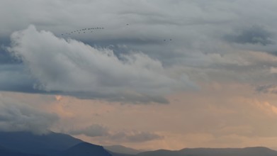 Dramatic sky with clouds and flock of birds, mountains in background at sunset, Lake Ohrid, North