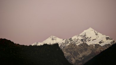 Snowy mountain peaks at dusk against a pink sky over a dark forest, Mestia, Georgia