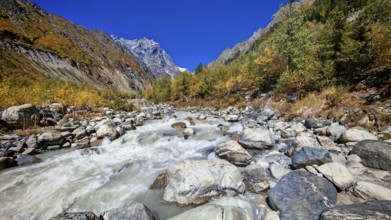 A rushing river in a mountainous fall landscape with clear blue sky, Mestia, Georgia