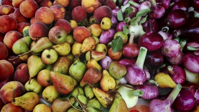 Fresh fruit and vegetables in vivid colors on a market stand, Maribor, Slovenia