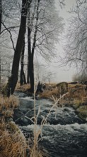 A small river flows through a frosty forest with bare trees, Rennsteig, Frankenwald nature park