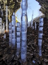 Ice stalagmites, icicles, cave, Frankenwaldsteigla, hiking trail, Frankenwald nature park Park,
