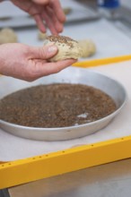 Dough is sprinkled with seeds in a round mold, hands to make, bake rolls, Haselstaller Hof,