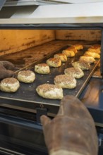 Rolls with linseeds on a sheet in the oven are baked, rolls are baked, Haselstaller Hof, Gechingen,