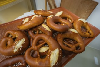 Freshly baked pretzels on a cooled, perforated baking tray, bake rolls, Haselstaller Hof,
