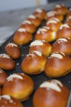 Golden brown pretzel rolls with salt spread in stripes on a baking tray, bake rolls, Haselstaller
