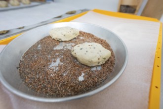 Two dough pieces lie in a flat metal bowl with linseeds, bake rolls, Haselstaller Hof, Gechingen,