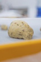 Close-up of an unbaked dough piece on a baking sheet, baking rolls, Haselstaller Hof, Gechingen,
