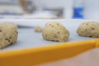 Close-up of unbaked dough pieces on a yellow tray, kitchen, baking rolls, Haselstaller Hof,