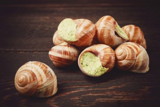 Grape snails, stuffed in burgundy, french cuisine