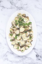 Vongole clams, in cream sauce, on a white plate, homemade, top view, no people