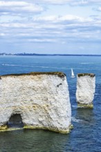 White Cliffs of Old Harry Rocks Jurassic Coast, Handfast Point, Dorset, UK
