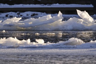 Elbe with ice floes, winter, Dresden, Saxony, Germany