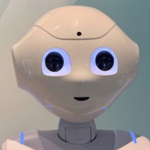 Head of the humanoid robot Pepper, Germany