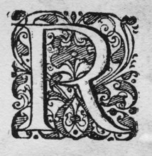 Initial, initial letter R, woodcut from Hortus Eystettensis, plant book by Nuremberg pharmacist