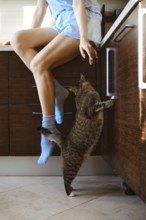 Unrecognizable woman sits on a kitchen counter with legs dangling down. A cat stands on the floor
