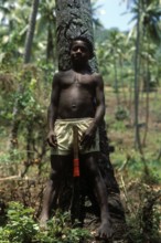 Boy with a machete in front of a kocus palm, Tavewa island, Yasawa archipelago, Fiji
