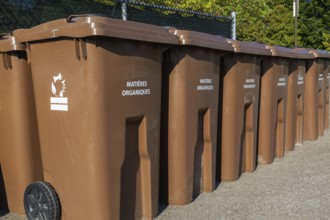 Rows of brown plastic heavy duty portable composting bins for depositing organic materials and