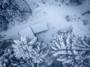 Aerial view of a snowy trail with huts between trees, Himmelsglück observation tower with Flying