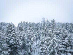 A tower rises from a foggy, snowy forest in winter, Himmelsglück observation tower with Flying Fox,