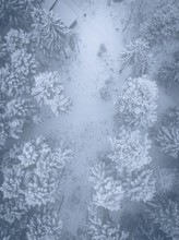 Bird's eye view of snow-covered trees and trails in winter forest, Himmelsglück observation tower