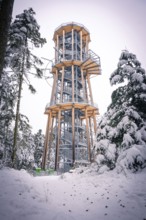 A snowy treetop trail against a winter sky under snow-covered trees, Himmelsglück observation tower