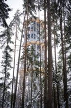 A treetop trail surrounded by snow-covered trees in the winter forest, Himmelsglück observation