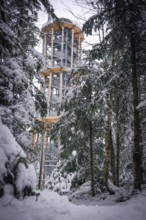 A snow-covered treetop trail rises between snow-covered trees, Himmelsglück observation tower with