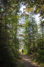 A tall tower surrounded by thick forest along a shady hiking trail, Himmelsglück observation tower