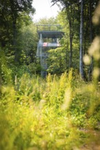 An observation tower in the forest between thick green trees, Himmelsglück observation tower with