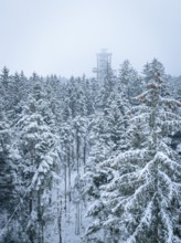 An observation tower juts out of a snow-covered forest, Himmelsglück observation tower with Flying