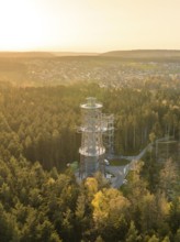 An observation tower towers over the treetops of a forest, with a city in the background and