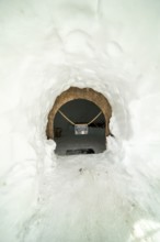 Igloo Suite, Igloo Lodge at Höfatsblick am Nebelhorn Station, near Oberstdorf, Allgäu Alps, Allgäu,