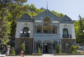 Historic blue building with abundant decorations and trees in the foreground, old villa villa of